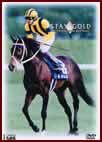 �X�e�C�S�[���h STAY GOLD - the first and the gold medal