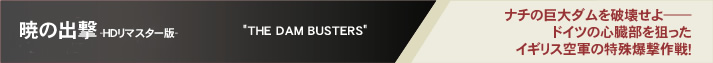 �ł̏o��-�g�c���}�X�^�[��-�@"THE DAM BUSTERS"