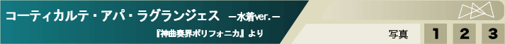 �R�[�e�B�J���e�E�A�p�E���O�����W�F�X�|����ver.�|
