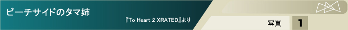 �g��ʐ^2