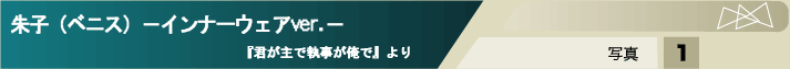 ��q�i�x�j�X�j�|�C���i�[�E�F�Aver.�|
